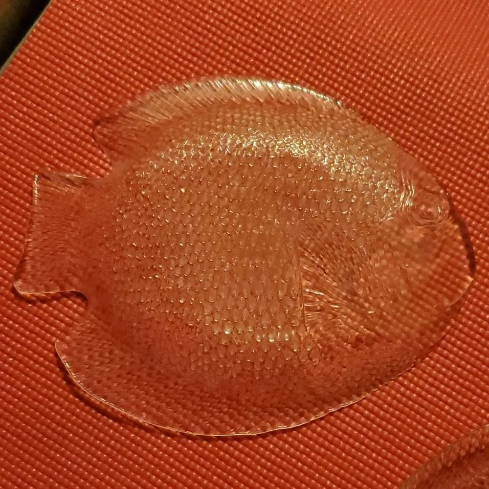 Arcoroc France Glass Fish Plates 10.5
